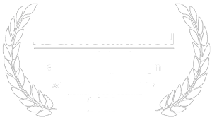 Virtuater - ADCN nominatie