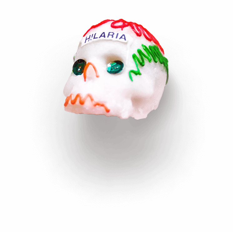 Sugar candy skull